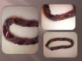 /album/galerie-de-photos-2011/bracelet-novembre-2-jpg1/